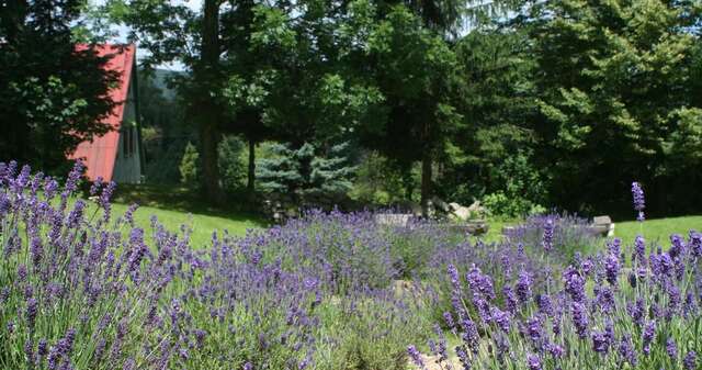 Проживание в семье Lavendowo Пеховице-12